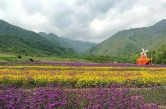 青海省海東市民和縣七里花海景區(qū)電子票務系統(tǒng)